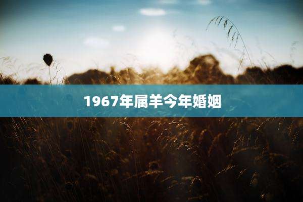 1967年属羊今年婚姻