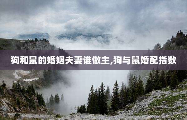 狗和鼠的婚姻夫妻谁做主,狗与鼠婚配指数