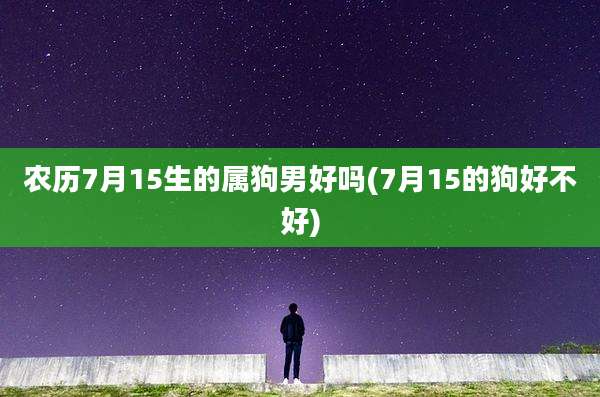 农历7月15生的属狗男好吗(7月15的狗好不好)