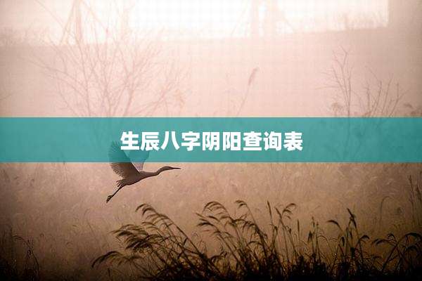 生辰八字阴阳查询表