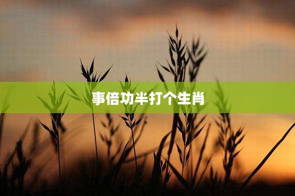 事倍功半打个生肖