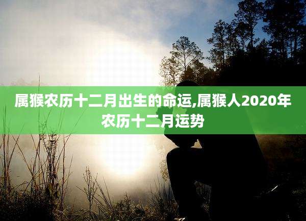 属猴农历十二月出生的命运,属猴人2020年农历十二月运势