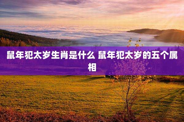 鼠年犯太岁生肖是什么 鼠年犯太岁的五个属相
