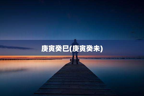 庚寅癸巳(庚寅癸未)