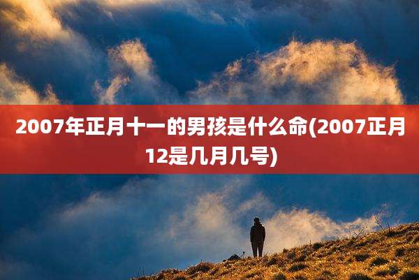 2007年正月十一的男孩是什么命(2007正月12是几月几号)