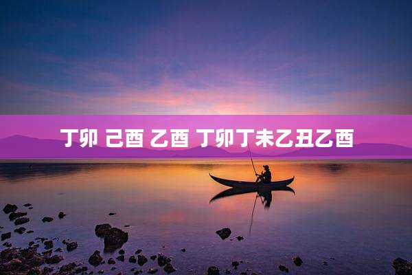 丁卯 己酉 乙酉 丁卯丁未乙丑乙酉