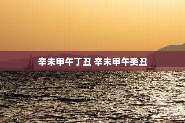 辛未甲午丁丑 辛未甲午癸丑