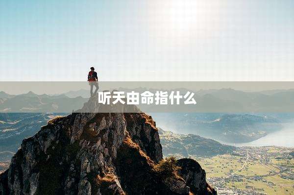 听天由命指什么