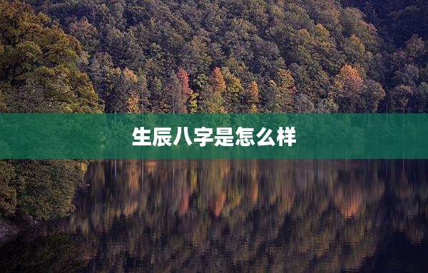 生辰八字是怎么样