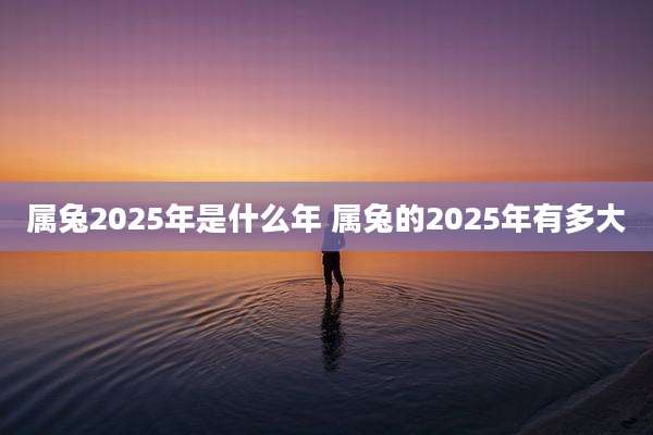 属兔2025年是什么年 属兔的2025年有多大