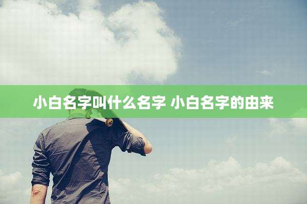 小白名字叫什么名字 小白名字的由来