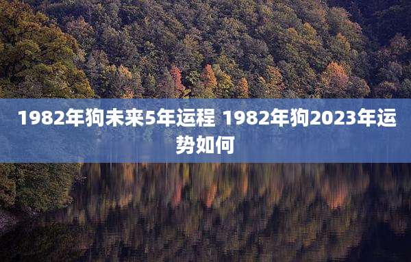 1982年狗未来5年运程 1982年狗2023年运势如何