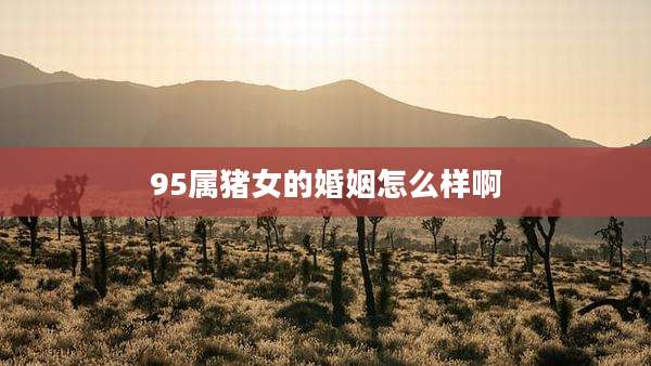95属猪女的婚姻怎么样啊