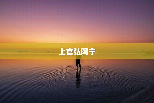 上官弘阿宁