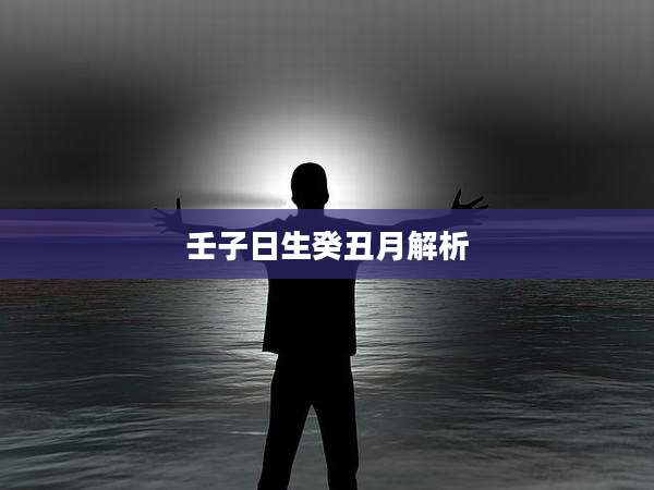 壬子日生癸丑月解析