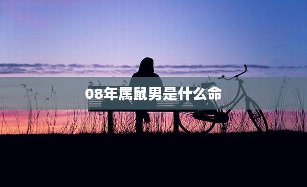 08年属鼠男是什么命