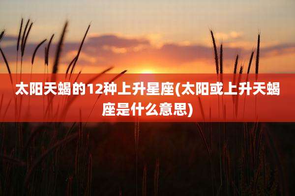 太阳天蝎的12种上升星座(太阳或上升天蝎座是什么意思)