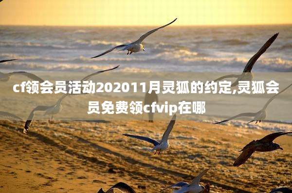 cf领会员活动202011月灵狐的约定,灵狐会员免费领cfvip在哪