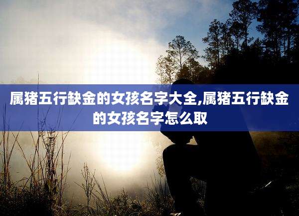 属猪五行缺金的女孩名字大全,属猪五行缺金的女孩名字怎么取