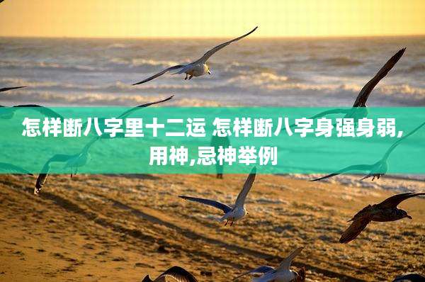 怎样断八字里十二运 怎样断八字身强身弱,用神,忌神举例