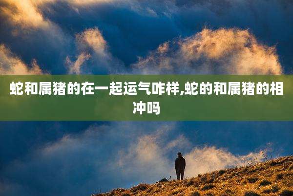 蛇和属猪的在一起运气咋样,蛇的和属猪的相冲吗