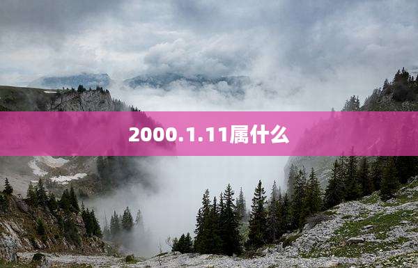 2000.1.11属什么