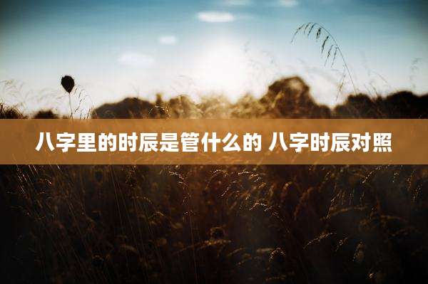 八字里的时辰是管什么的 八字时辰对照