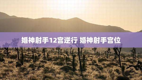婚神射手12宫逆行 婚神射手宫位