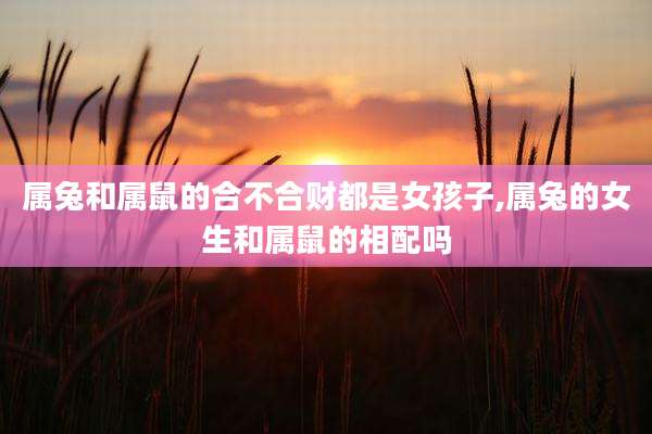 属兔和属鼠的合不合财都是女孩子,属兔的女生和属鼠的相配吗