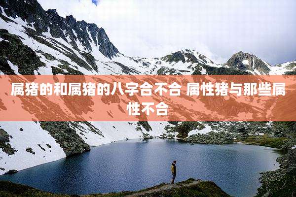 属猪的和属猪的八字合不合 属性猪与那些属性不合