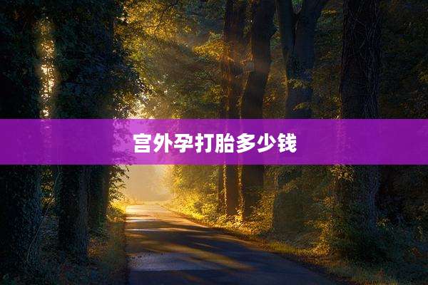 宫外孕打胎多少钱