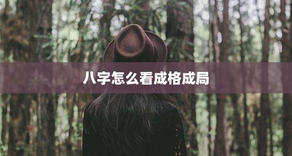 八字怎么看成格成局