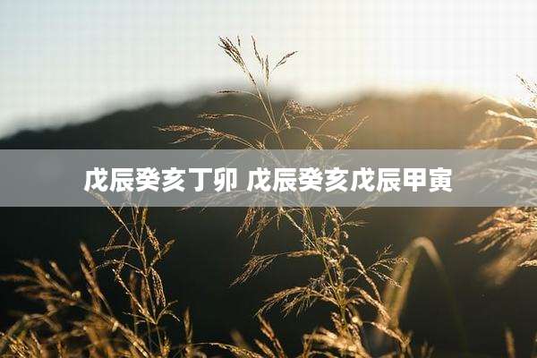 戊辰癸亥丁卯 戊辰癸亥戊辰甲寅
