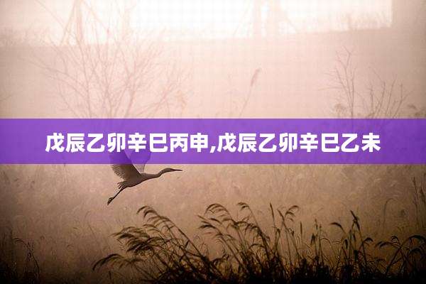 戊辰乙卯辛巳丙申,戊辰乙卯辛巳乙未