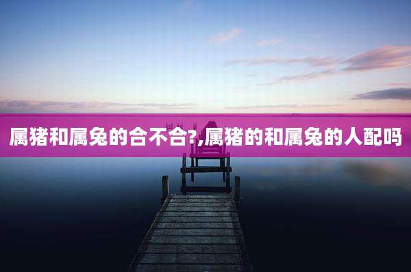 属猪和属兔的合不合?,属猪的和属兔的人配吗