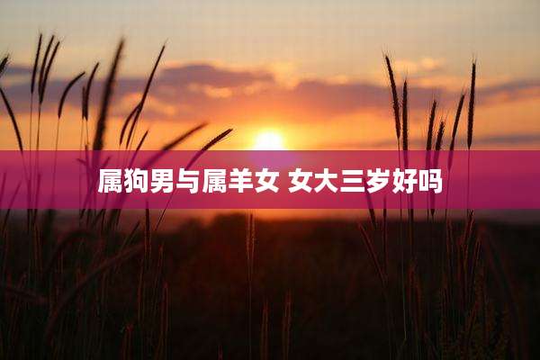 属狗男与属羊女 女大三岁好吗