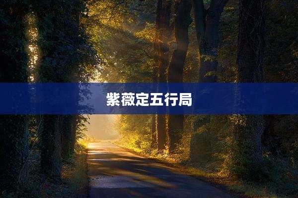 紫薇定五行局