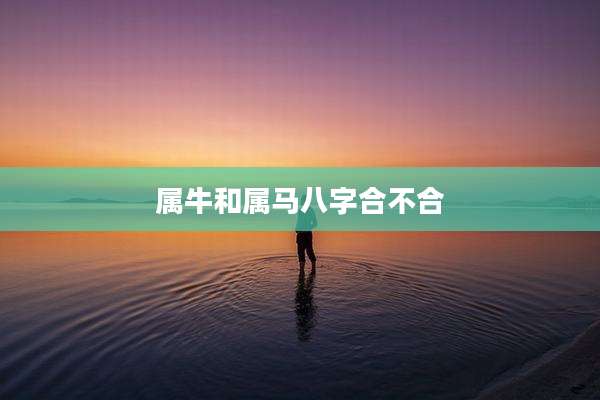 属牛和属马八字合不合