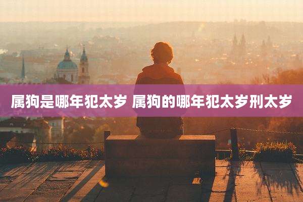 属狗是哪年犯太岁 属狗的哪年犯太岁刑太岁