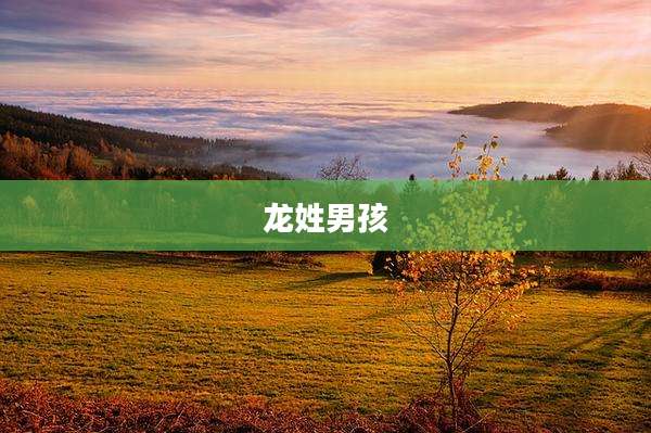 龙姓男孩