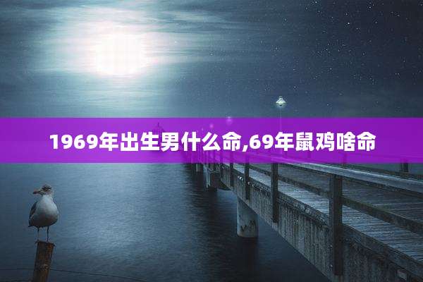 1969年出生男什么命,69年鼠鸡啥命