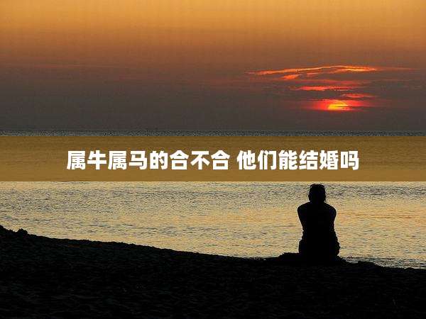 属牛属马的合不合 他们能结婚吗