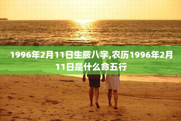 1996年2月11日生辰八字,农历1996年2月11日是什么命五行