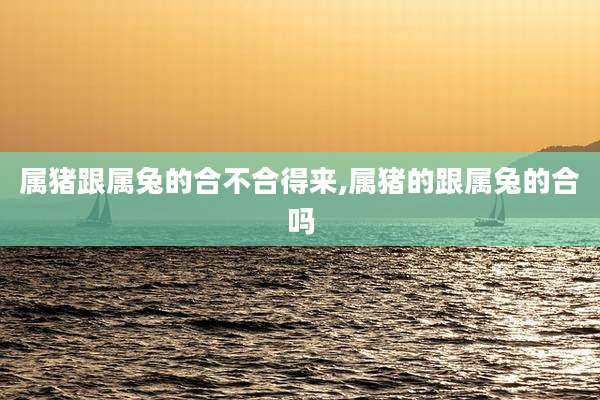 属猪跟属兔的合不合得来,属猪的跟属兔的合吗