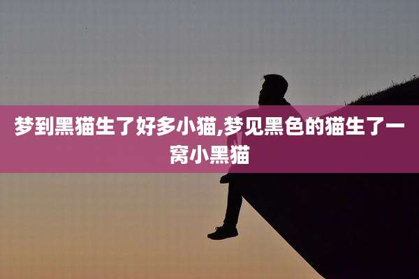 梦到黑猫生了好多小猫,梦见黑色的猫生了一窝小黑猫