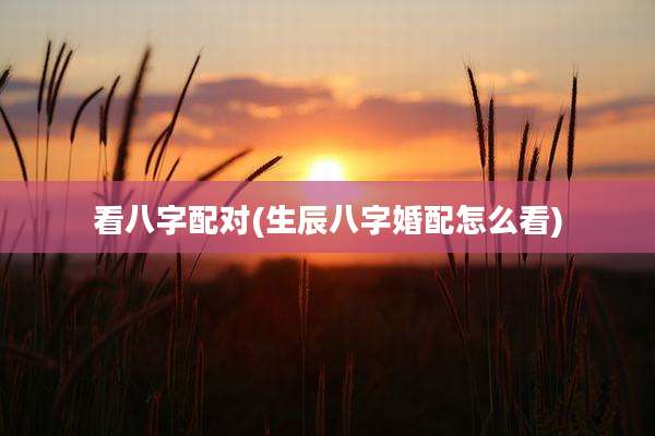 看八字配对(生辰八字婚配怎么看)