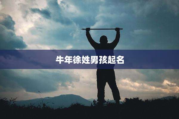牛年徐姓男孩起名
