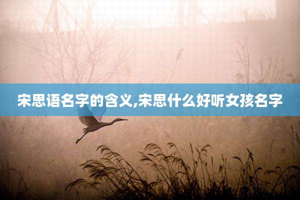宋思语名字的含义,宋思什么好听女孩名字