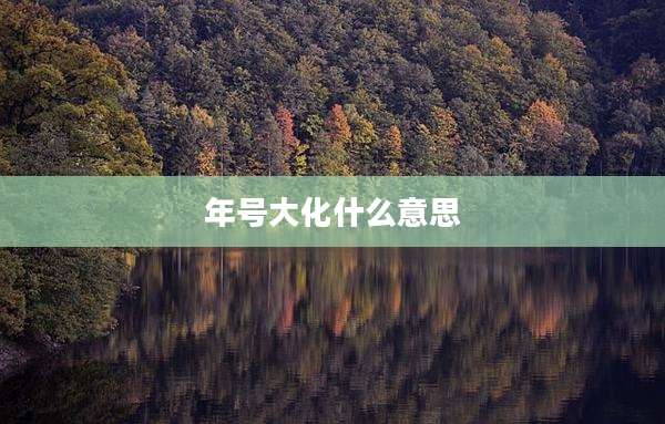 年号大化什么意思