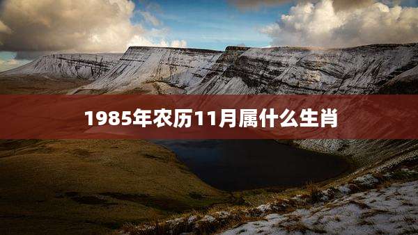 1985年农历11月属什么生肖